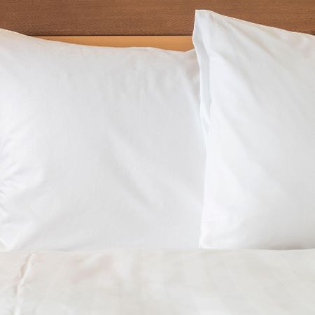 Holiday Inn Express Conway By Ihg Zewnętrze zdjęcie